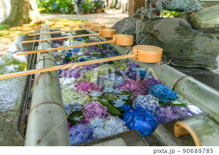 紫陽花の花手水 90689785