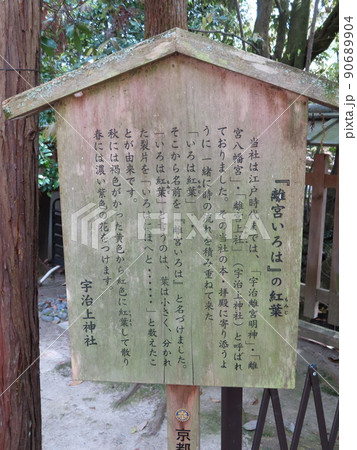 京都、宇治上神社の離宮いろはの紅葉の説明文を書いた木の立て札看板 京都、宇治上神社の離宮いろはの紅葉の説明文を書いた木の立て札看板 90689904