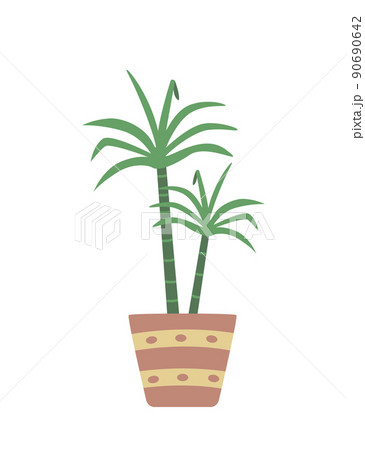 Dracaena in a flower pot, vector illustration of a palm plant 90690642