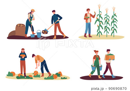 Autumn harvest. Female and male farm workers gathering crops. Man digging up potato, collecting corn. Couple picking up pumpkins Autumn harvest. Female and male farm workers gathering crops. Man digging up potato, collecting corn. Couple picking up pumpkins 90690870