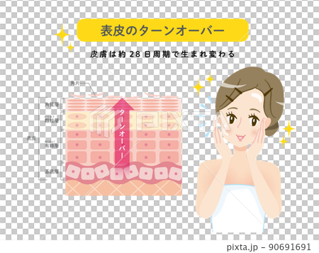 皮膚更新 皮膚結構和女性 90691691