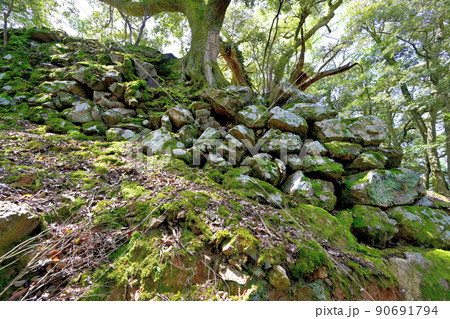 小浜市　若狭国「後瀬山城」の石垣と眺望 90691794