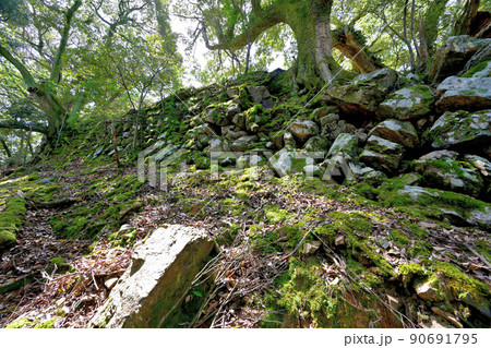 小浜市　若狭国「後瀬山城」の石垣と眺望 90691795