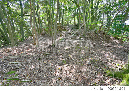 小浜市　若狭国「後瀬山城」の石垣と眺望 90691801