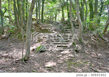小浜市 若狭国「後瀬山城」の石垣と眺望 小浜市 若狭国「後瀬山城」の石垣と眺望 90691802