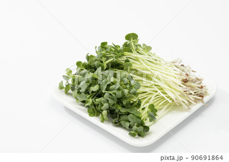 白バックのかいわれだいこん 90691864