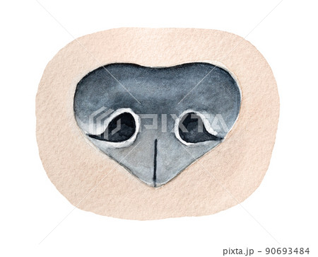 Watercolour illustration of Dog Nose Snoup. Symbol of sense of smell, scent, intuition, investigation, research, rescue. Hand painted water color graphic drawing, cut out clip art element for design. Watercolour illustration of Dog Nose Snoup. Symbol of sense of smell, scent, intuition, investigation, research, rescue. Hand painted water color graphic drawing, cut out clip art element for design. 90693484