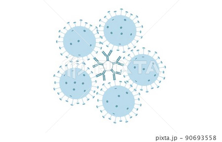 Antibodies IgM bind the virus to weaken its effect in the body. Antibodies IgM bind the virus to weaken its effect in the body. 90693558