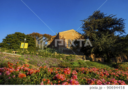 Sunny view of the Powell Library of UCLA 90694458