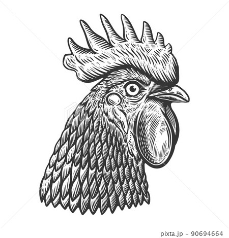 Illustration of rooster head in engraving style. Design element for logo, label, sign, poster, t shirt. Vector illustration Illustration of rooster head in engraving style. Design element for logo, label, sign, poster, t shirt. Vector illustration 90694664