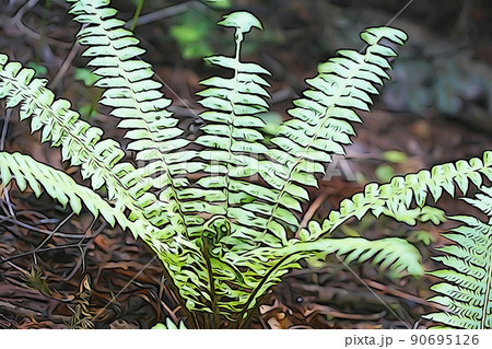 パステル調　”クサソテツ”　イラストイメージ 90695126