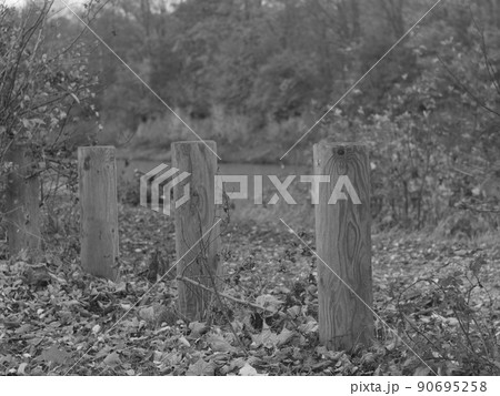 nature nature 90695258