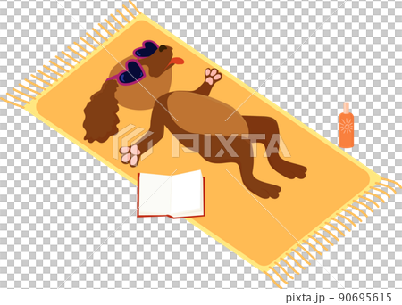 Dog taking sunbath on the beach vacation. Dog taking sunbath on the beach vacation. 90695615