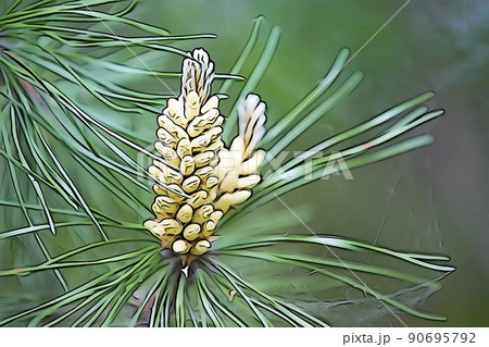 パステル調 松の葉と花 イラストイメージのイラスト素材