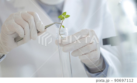 研究者 植物 90697112