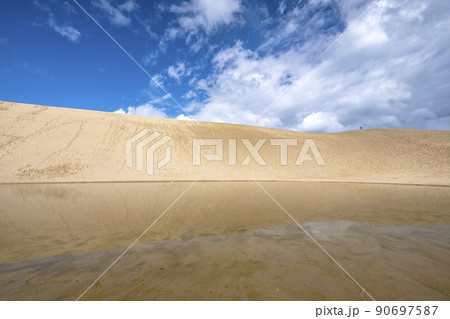 水鏡のオアシス(鳥取砂丘) 水鏡のオアシス(鳥取砂丘) 90697587