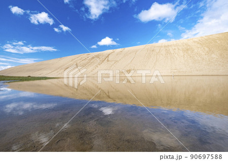 水鏡のオアシス（鳥取砂丘） 90697588