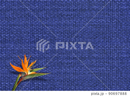 トロピカルな極楽鳥花と、紺色の麦藁ナチュラル素材の背景 90697888