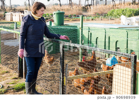 Woman working in henhouse 90698939