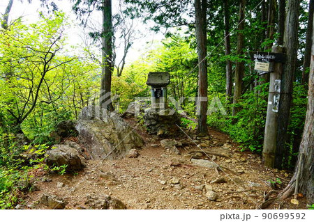 東京 御岳山 奥の院峰 東京 御岳山 奥の院峰 90699592