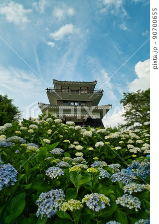 あじさい公園 R4年初夏 あじさい公園 R4年初夏 90700655