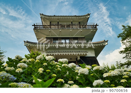 あじさい公園　R4年初夏 90700656