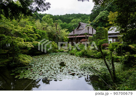 板敷山大覚寺の春庭園、裏見無しの庭【茨城県石岡市】 90700679