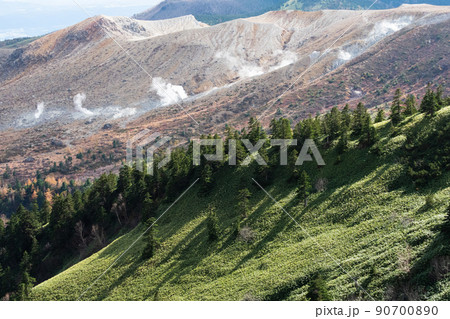 草津白根山の噴煙 90700890