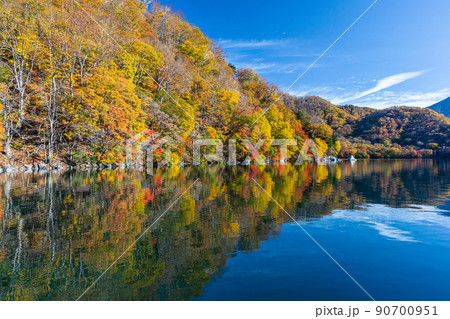 【栃木県・奥日光】千手ヶ浜 中善寺湖畔に映し出す秋紅葉 10月 【栃木県・奥日光】千手ヶ浜 中善寺湖畔に映し出す秋紅葉 10月 90700951