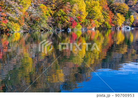 【栃木県・奥日光】千手ヶ浜 中善寺湖畔に映し出す秋紅葉 10月 【栃木県・奥日光】千手ヶ浜 中善寺湖畔に映し出す秋紅葉 10月 90700953