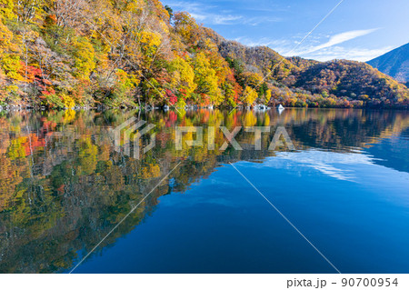 【栃木県・奥日光】千手ヶ浜 中善寺湖畔に映し出す秋紅葉 10月 【栃木県・奥日光】千手ヶ浜 中善寺湖畔に映し出す秋紅葉 10月 90700954
