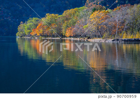 【栃木県・奥日光】千手ヶ浜 中善寺湖畔に映し出す秋紅葉 10月 【栃木県・奥日光】千手ヶ浜 中善寺湖畔に映し出す秋紅葉 10月 90700959