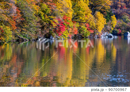 【栃木県・奥日光】千手ヶ浜 中善寺湖畔に映し出す秋紅葉 10月 90700967