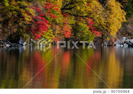 【栃木県・奥日光】千手ヶ浜 中善寺湖畔に映し出す秋紅葉 10月 【栃木県・奥日光】千手ヶ浜 中善寺湖畔に映し出す秋紅葉 10月 90700968