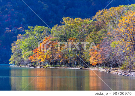 【栃木県・奥日光】千手ヶ浜 中善寺湖畔に映し出す秋紅葉 10月 90700970