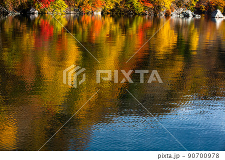 【栃木県・奥日光】千手ヶ浜 中善寺湖畔に映し出す秋紅葉 10月 90700978