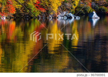 【栃木県・奥日光】千手ヶ浜 中善寺湖畔に映し出す秋紅葉 10月 90700991