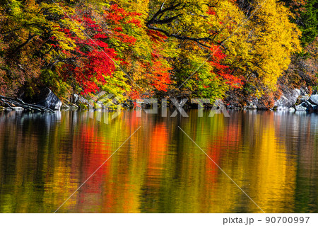 【栃木県・奥日光】千手ヶ浜 中善寺湖畔に映し出す秋紅葉 10月 【栃木県・奥日光】千手ヶ浜 中善寺湖畔に映し出す秋紅葉 10月 90700997