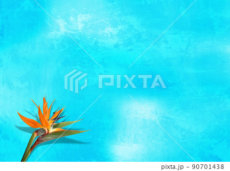 美しい夏の花ストレリチアと、トロピカルグリーンの背景 90701438