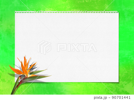 ストレリチアとスケッチブック、トロピカルグリーンの背景 ストレリチアとスケッチブック、トロピカルグリーンの背景 90701441