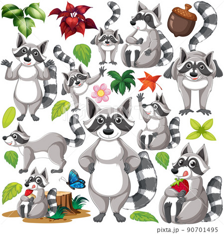 Cute raccoons doing different things 90701495