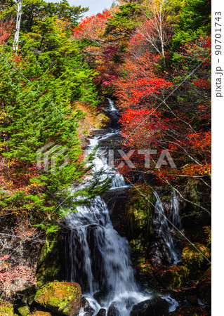 【栃木県・奥日光】奥日光三名瀑 竜頭の滝 紅葉編 10月 【栃木県・奥日光】奥日光三名瀑 竜頭の滝 紅葉編 10月 90701743