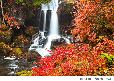 【栃木県・奥日光】奥日光三名瀑 竜頭の滝 紅葉編 10月 【栃木県・奥日光】奥日光三名瀑 竜頭の滝 紅葉編 10月 90701758