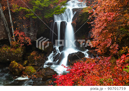 【栃木県・奥日光】奥日光三名瀑 竜頭の滝 紅葉編 10月 【栃木県・奥日光】奥日光三名瀑 竜頭の滝 紅葉編 10月 90701759