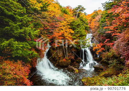【栃木県・奥日光】奥日光三名瀑 竜頭の滝 紅葉編 10月 【栃木県・奥日光】奥日光三名瀑 竜頭の滝 紅葉編 10月 90701776