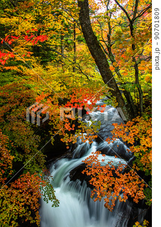 【栃木県・奥日光】奥日光三名瀑 竜頭の滝 紅葉編 10月 【栃木県・奥日光】奥日光三名瀑 竜頭の滝 紅葉編 10月 90701809