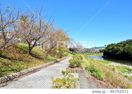 狩野川べりの風景 狩野川べりの風景 90702071