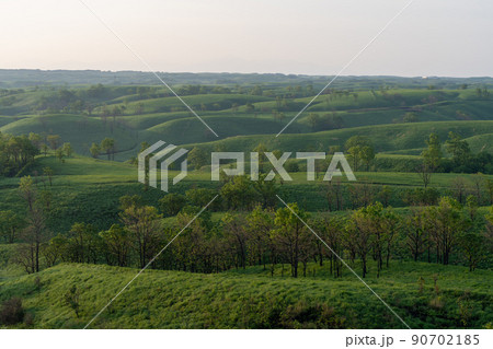 《熊本県》押戸石の丘 夜明けと朝霧 《熊本県》押戸石の丘 夜明けと朝霧 90702185