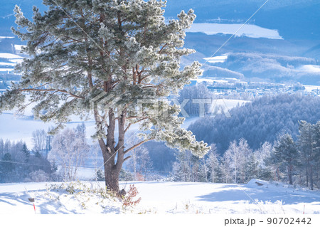 《北海道》上富良野の雪景色・千望峠の眺め 《北海道》上富良野の雪景色・千望峠の眺め 90702442