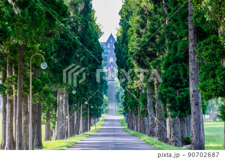 北海道北斗市 トラピスト修道院 ~杉並木~ 北海道北斗市 トラピスト修道院 ~杉並木~ 90702687